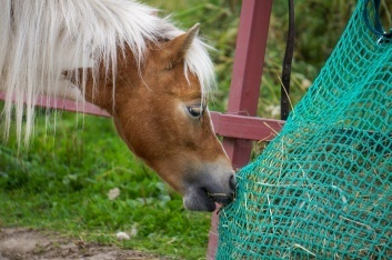 Сетка для кормления 80см*90см до 15 кг Horsevet